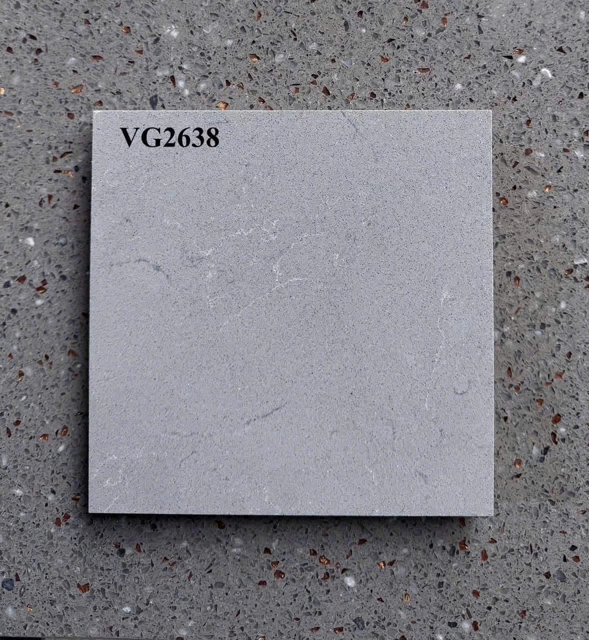 VG2638